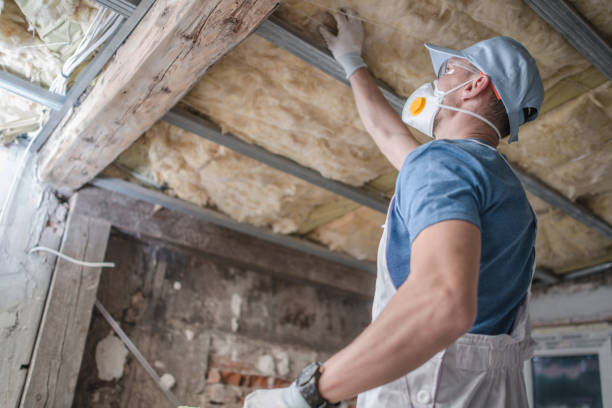 Types of Insulation We Offer in Marina, CA